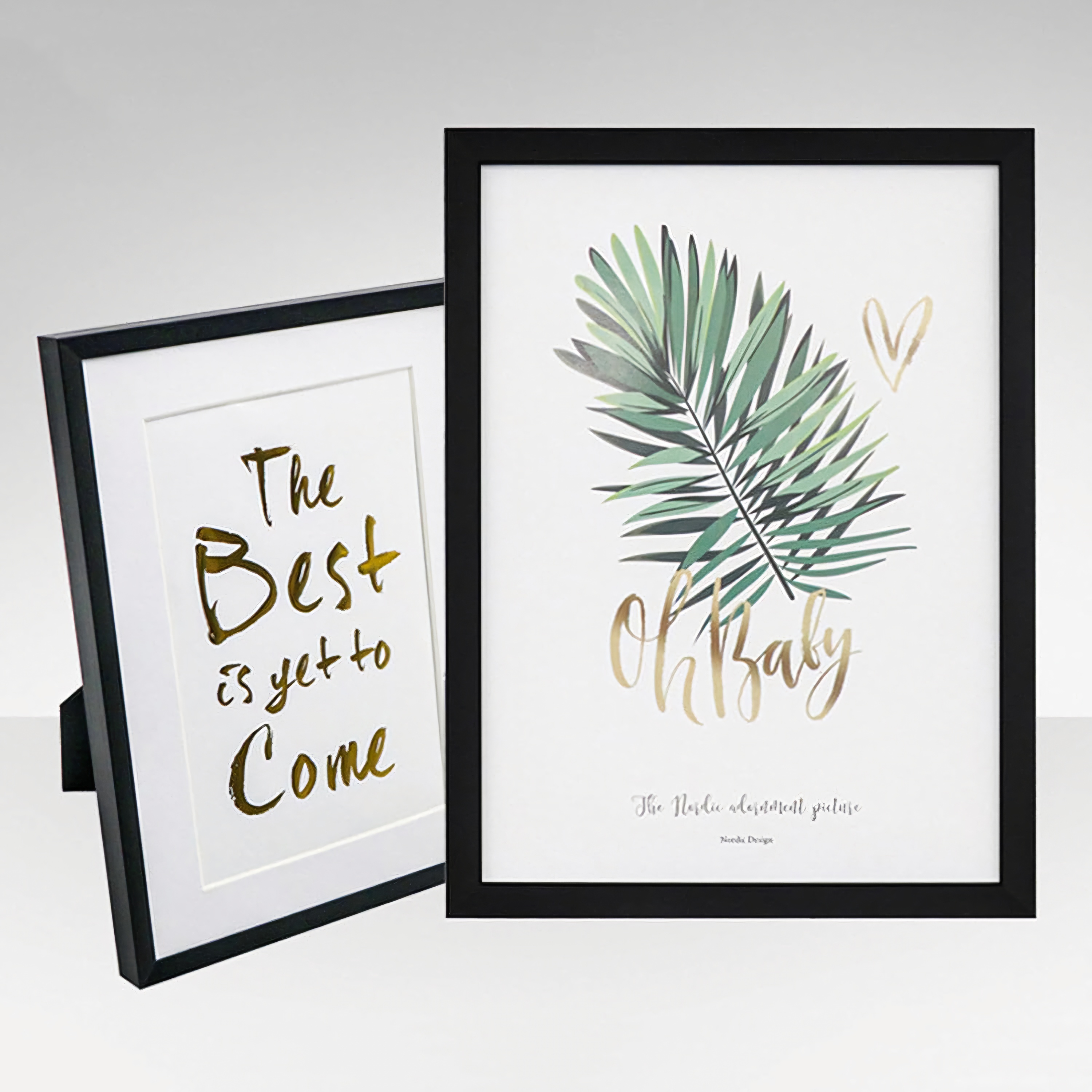 ჩარჩო A4 21X29.7