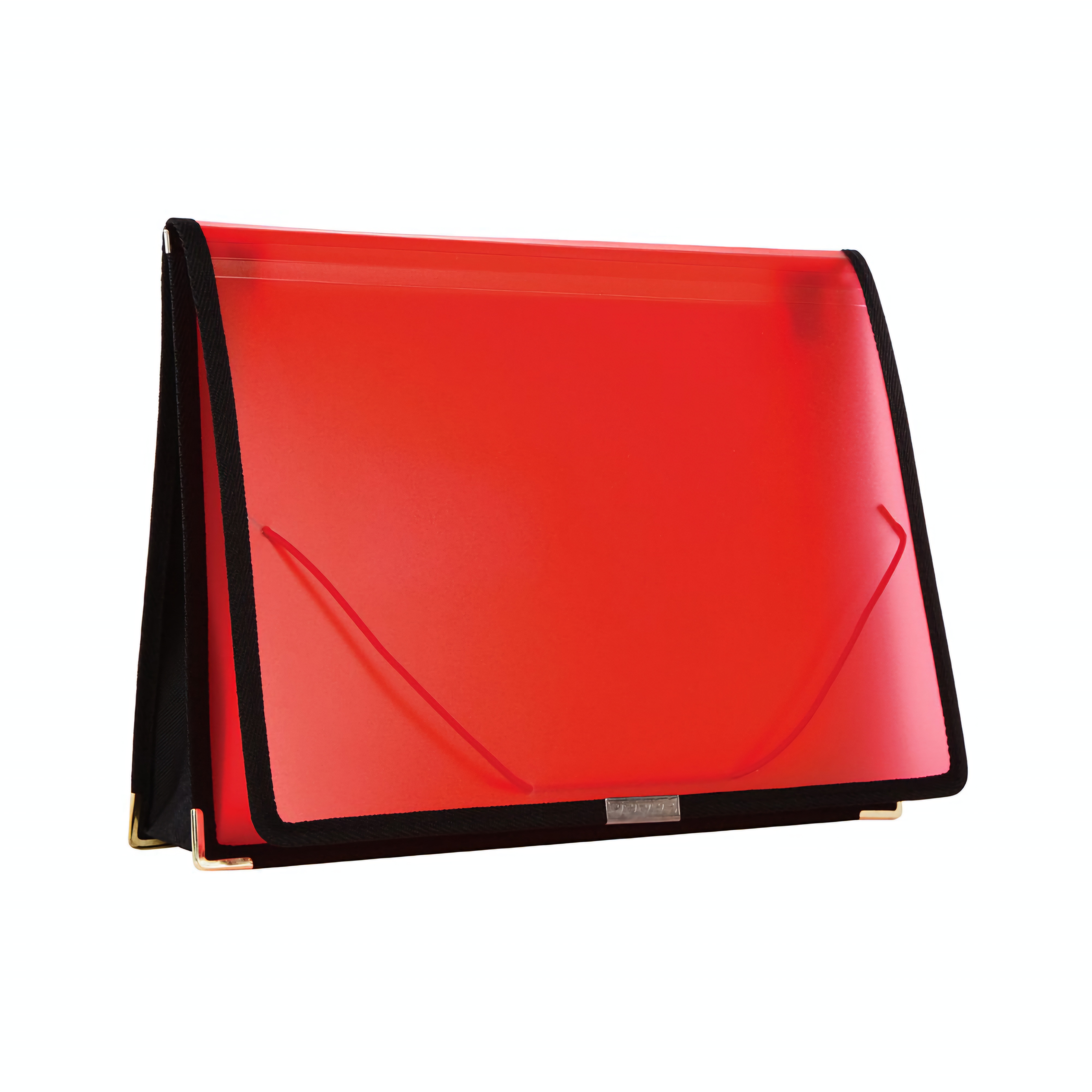 დოკუმენტის ჩანთა  A4 409B