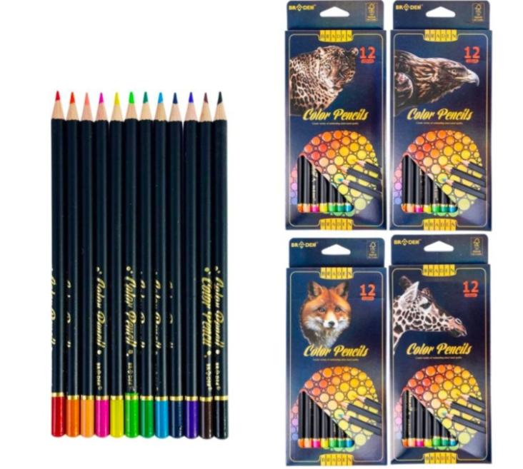 ფერადი ფანქარი 12 ფერიანი 8038-12