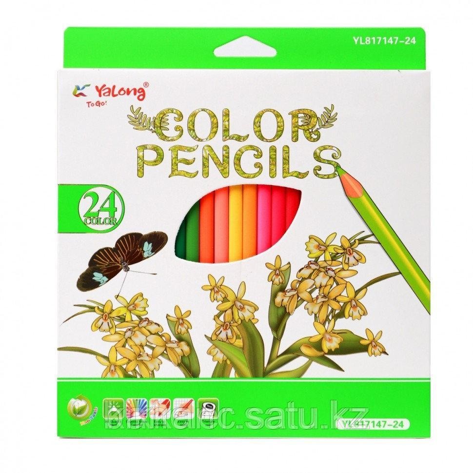 ფერადი ფანქარი იალონგი 24ფ 817147-24