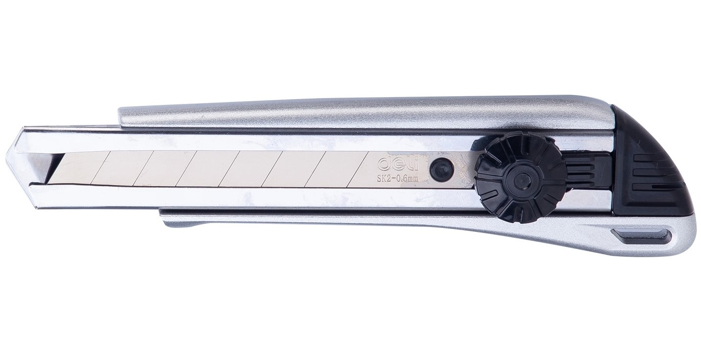 დანა  2045 , DELI