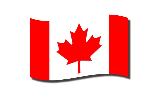 დროშა 90/150