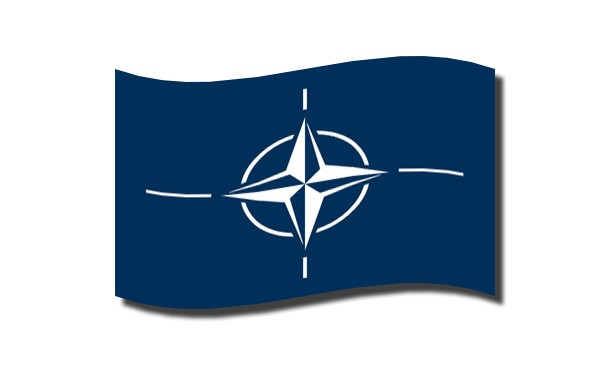 დროშა სამაგიდე 15სმX22.5სმ