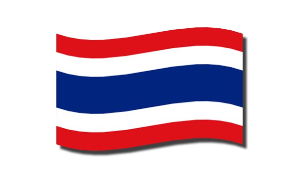 დროშა სამაგიდე 15სმX22.5სმ