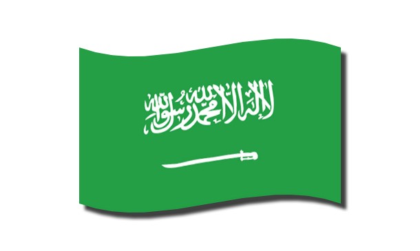 დროშა სამაგიდე 15სმX22.5სმ