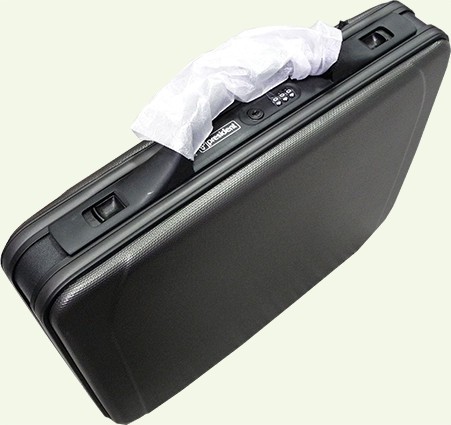 ქეისი President 18 ინჩი 3134G